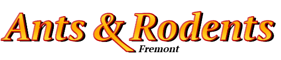 Fremont Ant Exterminator & Rodent Control Company Logo